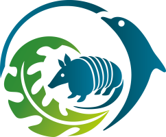 Plataforma Virtual de Fortalecimiento de Capacidades